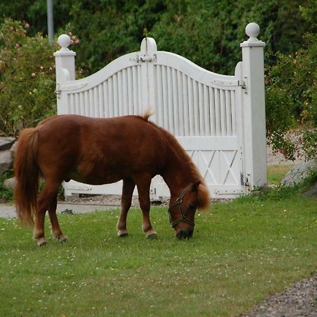 Ostseepferdehof Neukirchen  Екстериор снимка